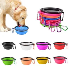 Collapsible Water Bowl 1
