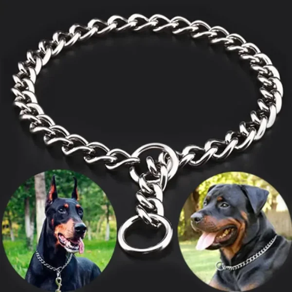 Dog Stainless Steel Collar 1