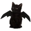 Pet Bat Wings 3