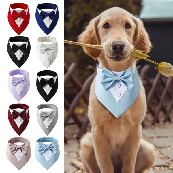 Pet Tuxedo Bow Ties 1