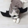 Pet Bat Wings 5