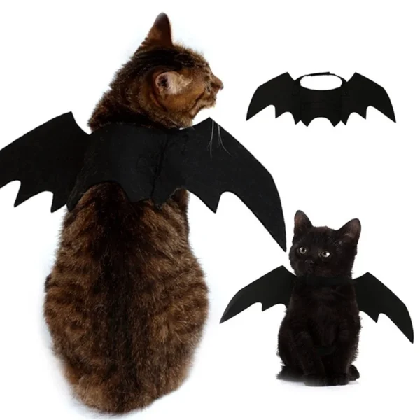 Pet Bat Wings 1