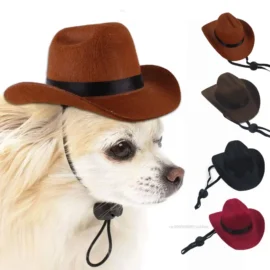 Dog Cowboy Hat 1