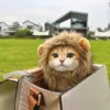 Pet Cosplay Lion Mane 4