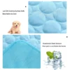 Pet Cooling Mat 2