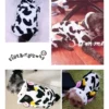 Pet Clothing for Small Dogs 5