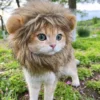 Pet Cosplay Lion Mane 2