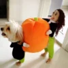 Halloween Pet Clothes 2