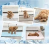 Pet Cooling Mat 6